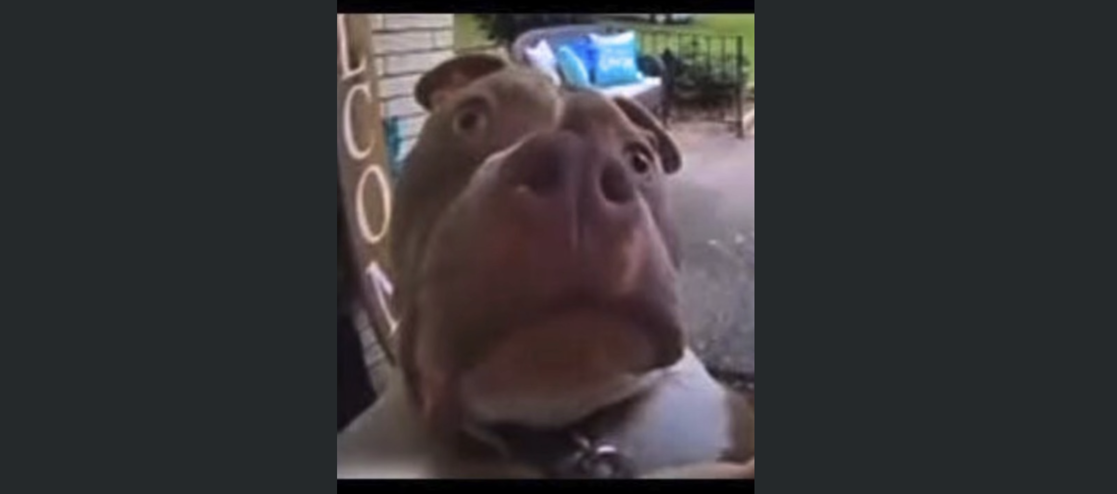 Julien Rigot social post