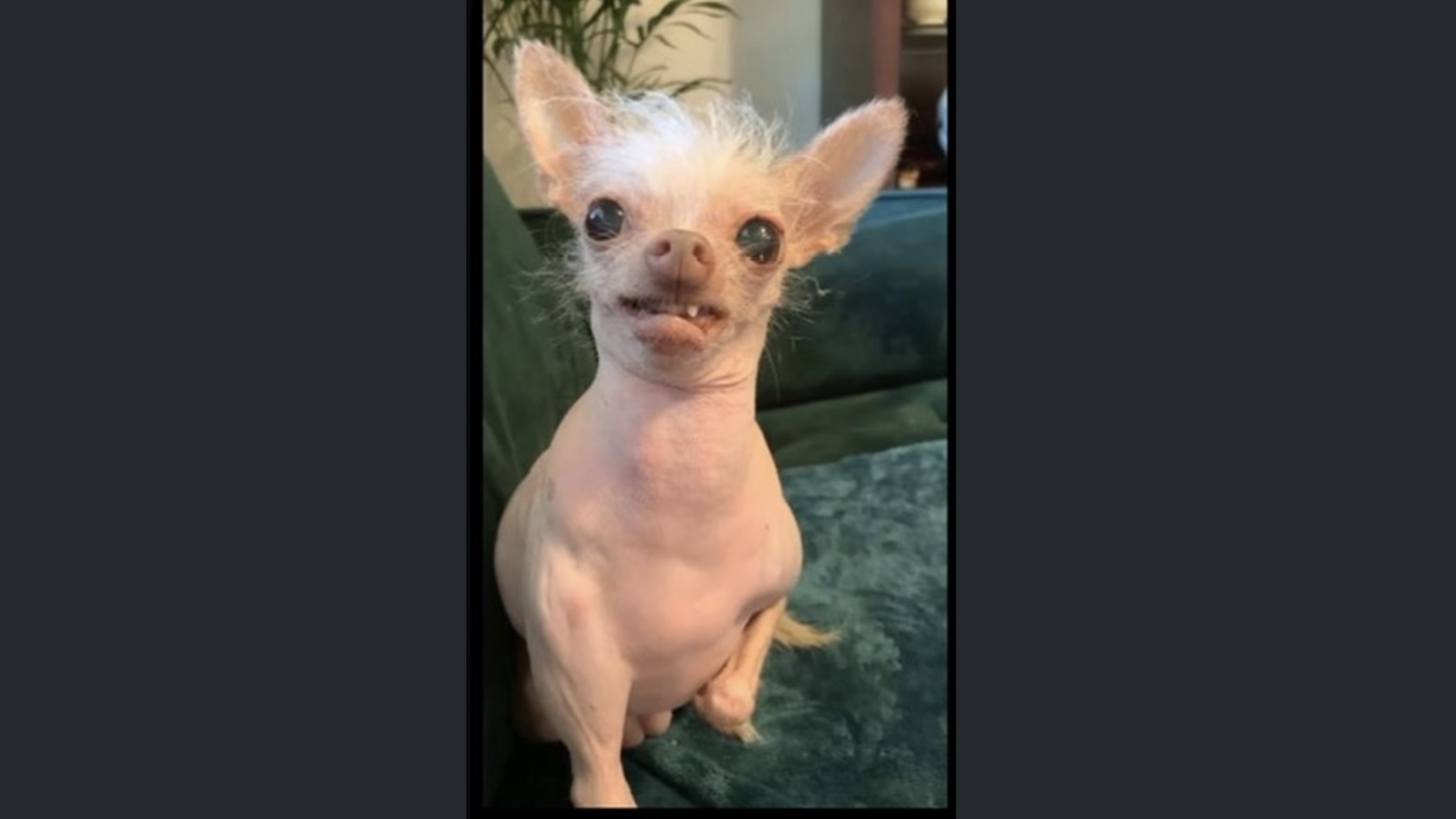 Julien Rigot social post