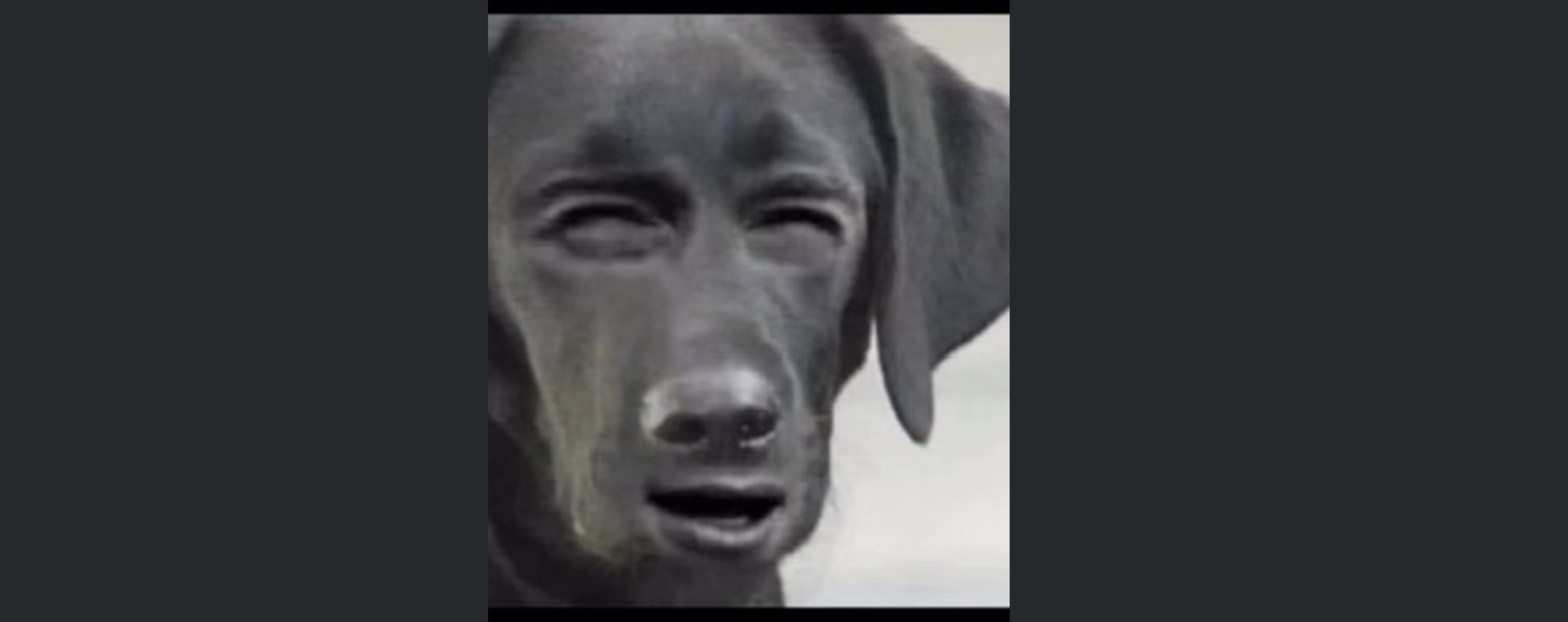 Julien Rigot social post