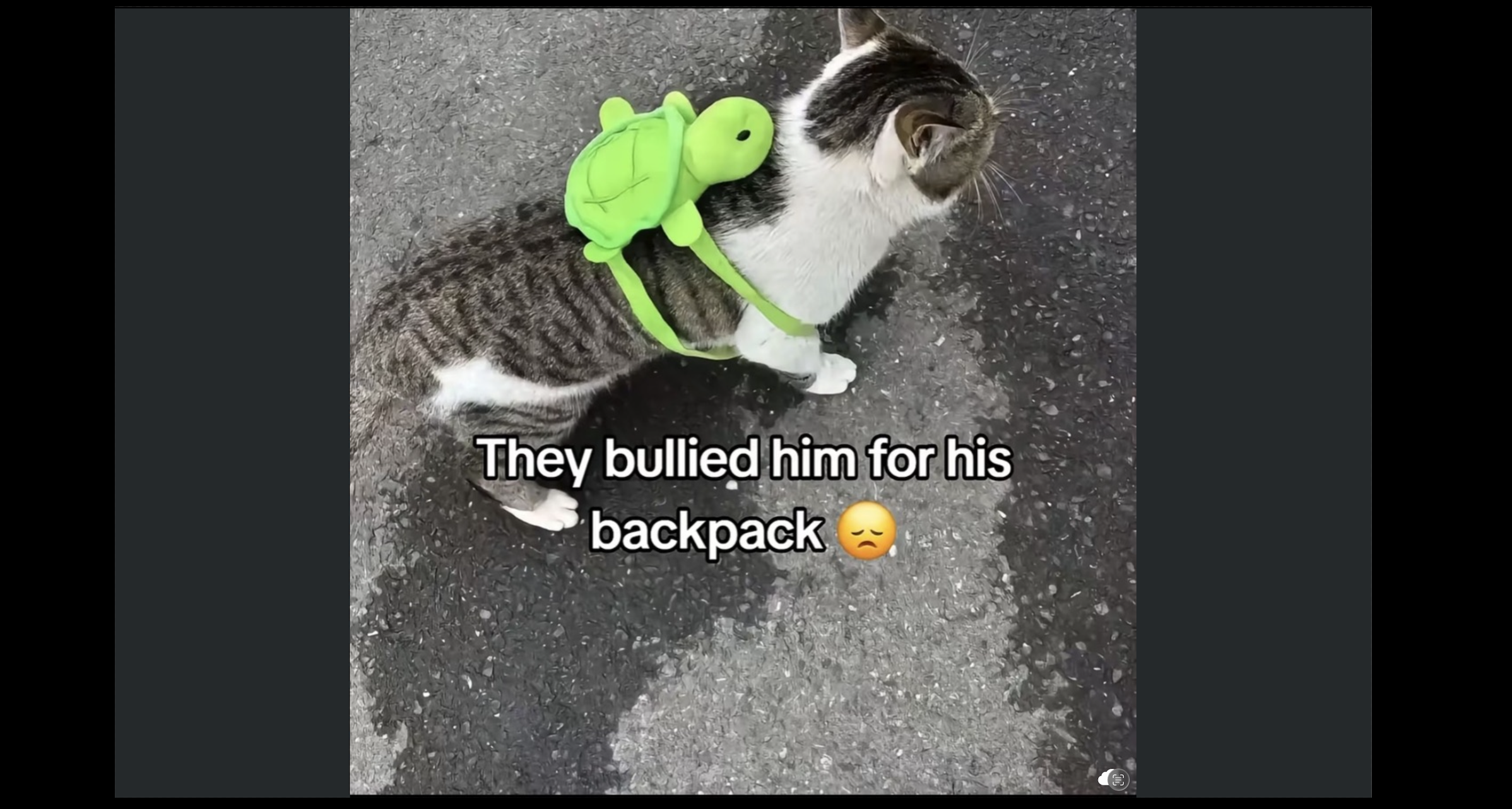 Julien Rigot social post